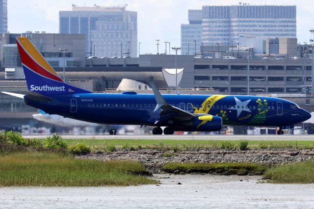 Boeing 737-800 (N8646B) - Nevada One