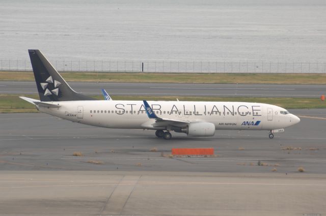 Boeing 737-800 (JA51AN) - Taxi at Haneda Intl Airport on 2008/11/2 Star Alliance c/s