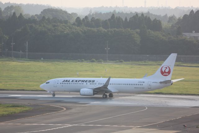 Boeing 737-800 (JA309J)