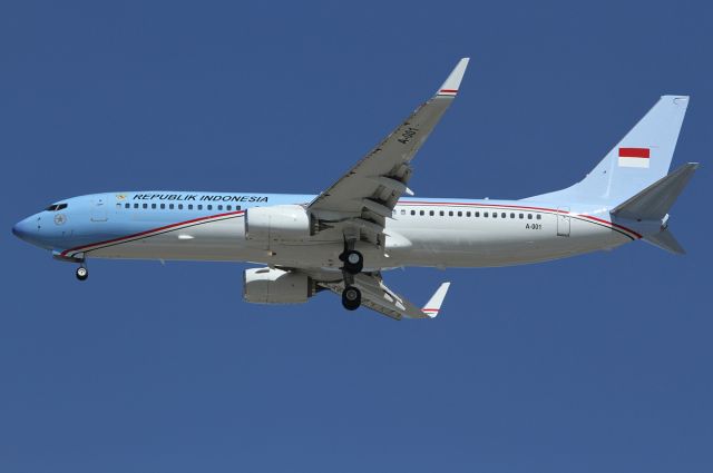 Boeing 737-800 (A001)