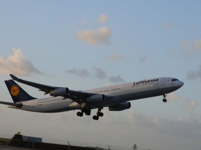 Airbus A340-300 (D-AIGV)