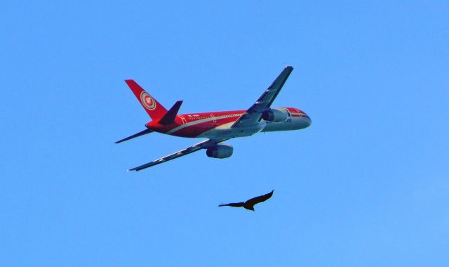 Boeing 757-200 (YV-2242)