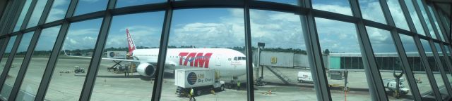 BOEING 767-300 (PT-MSV) - Being Loaded by Food & Beverage