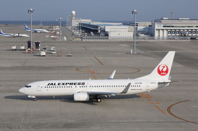 Boeing 737-800 (JA309J)