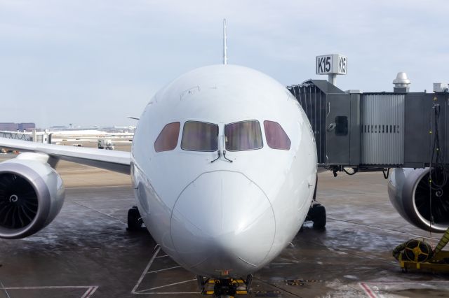 Boeing 787-8 (N873BB) - American Airlines 787-8 at the gate at O'Hare on 2/6/2022. Taken with a Canon 850D and Sigma 18-35mm Art lens.