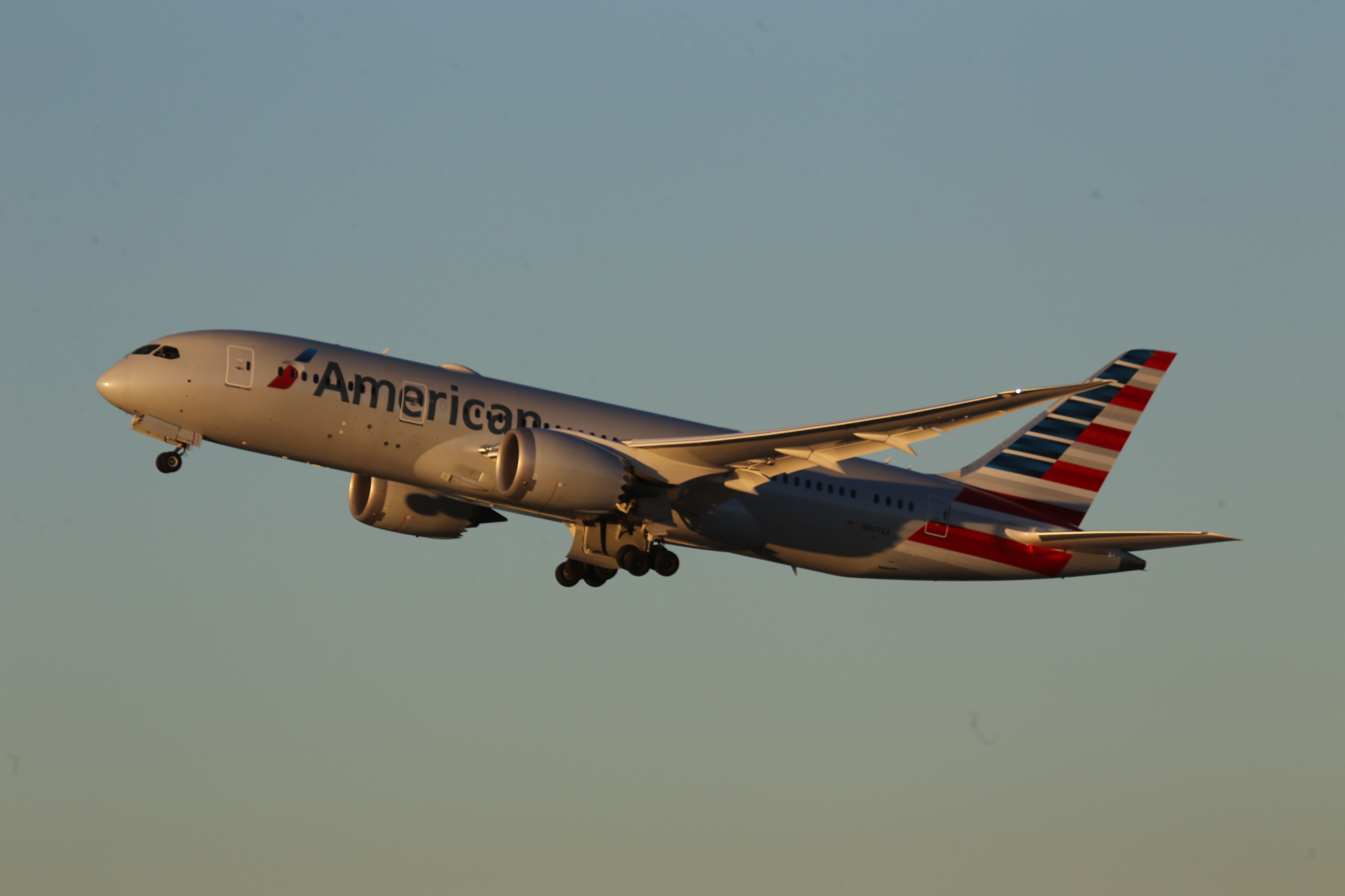 Boeing 787-8 (N807AA)