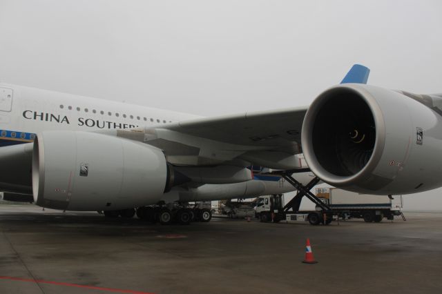 Airbus A380-800 (B-6140) - What a large guy！