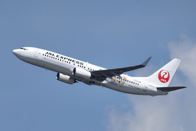 Boeing 737-800 (JA341J) - JAL Happy Journey Expressbr /Disney Duffy Livery