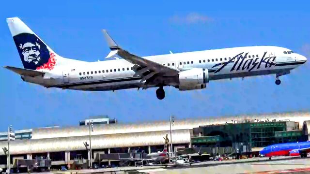 Boeing 737-800 (N537AS) - Nice to catch an Alaska with the Lei tail.