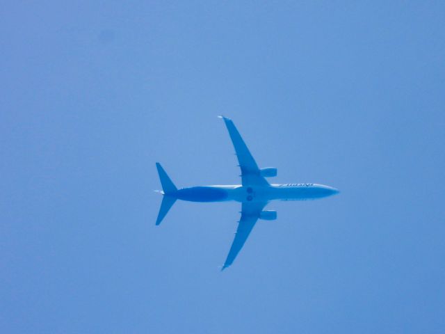Boeing 737-900 (N448AS) - ASA16br /SEA-MCObr /05/29/22
