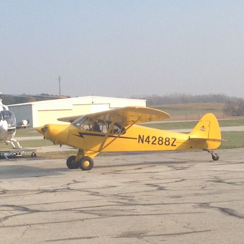 Piper L-21 Super Cub (N4288Z)