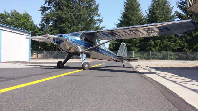 TEMCO Silvaire (N1118B) - 1947 Luscombe 8E after two weeks of polishing.