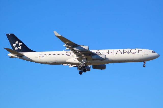 Airbus A340-300 (D-AIGW) - A Lufthansa A340-300 wearing the "Star Alliance" Livery on final approach into Frankfurt Airport.br /br /Location: Viewpoint "West Runway"/Aussichtspunkt "Startbahn West".br /Date: 13.02.23 (dd/mm/yy).