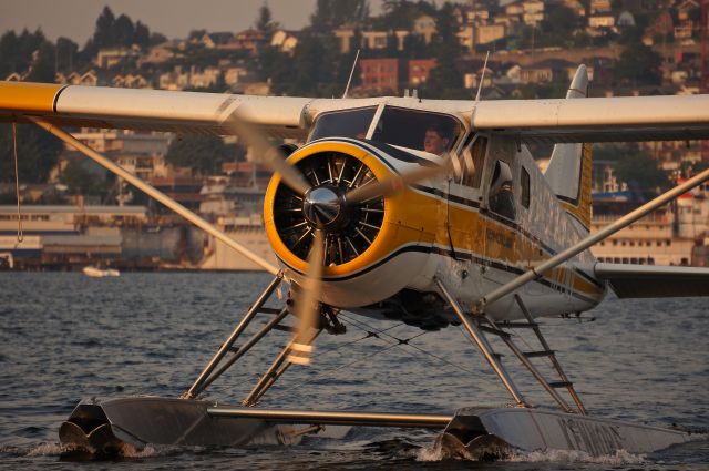 De Havilland Canada DHC-2 Mk1 Beaver (N17598)