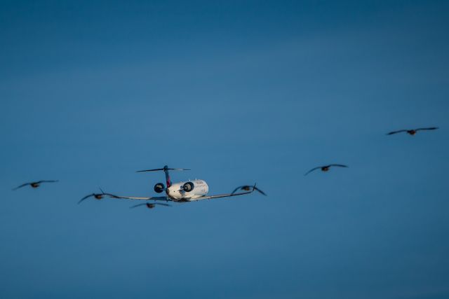 Canadair Regional Jet CRJ-900 —