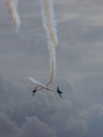 Aero L-39 Albatros — - MCAS Miramar Airshow 2006  San Diego, CA  FRYs Demonstration Team