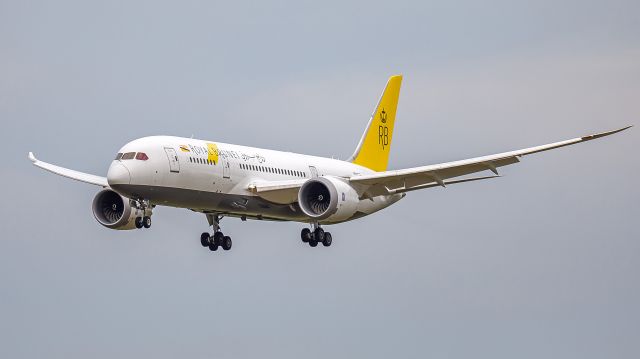 Boeing 787-8 (V8-DLE)