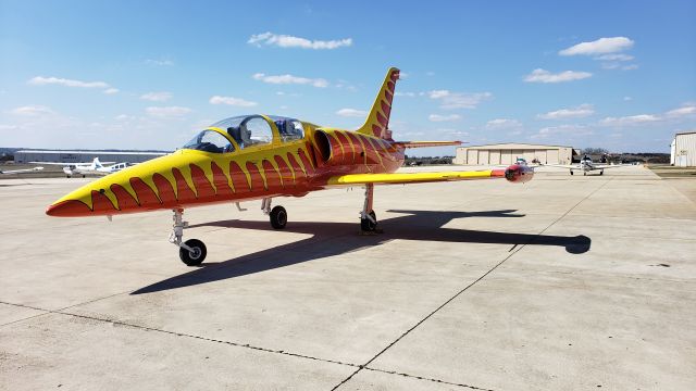 Aero L-39 Albatros (NX39LW)