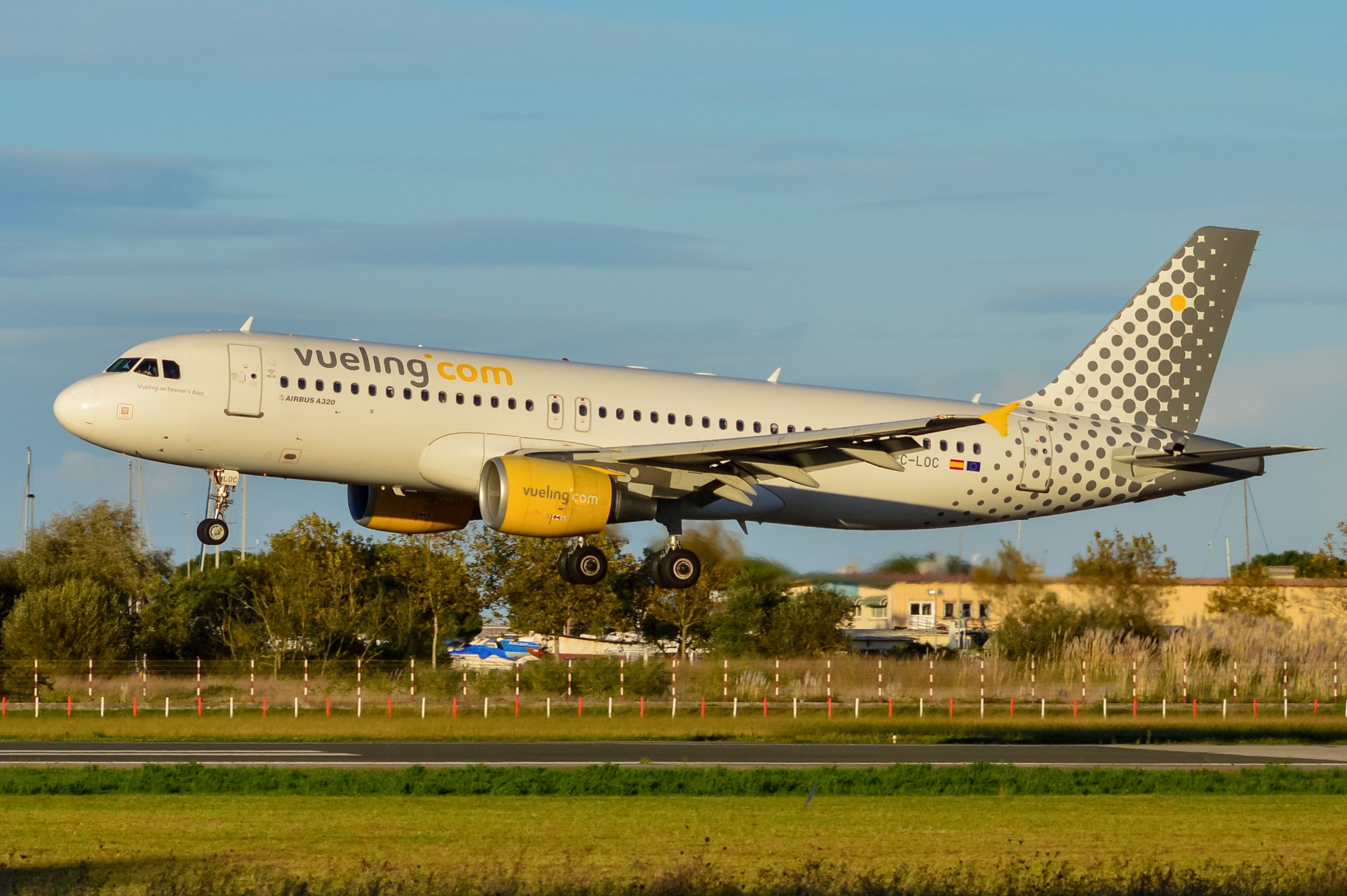 Airbus A320 (EC-LOC)