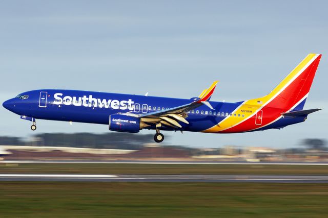 Boeing 737-800 (N8316H)