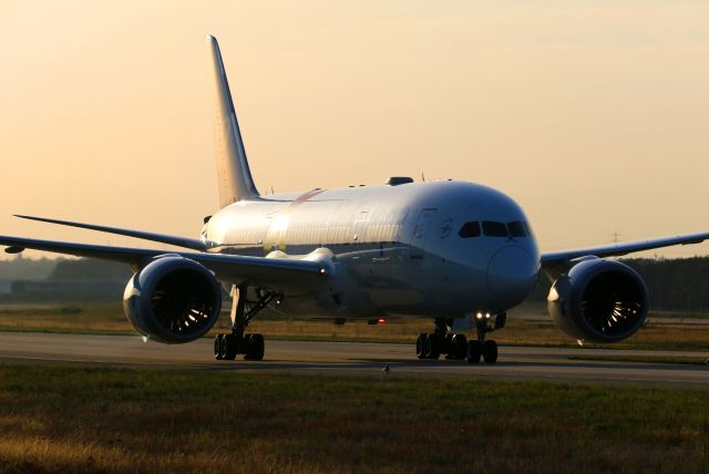 Boeing 787-8 (EC-MLT)