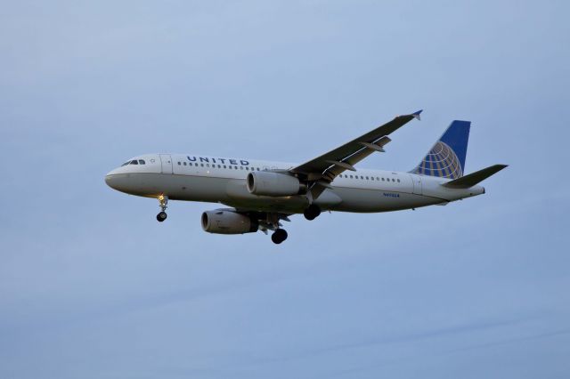 Airbus A320 (N495UA) - LAX