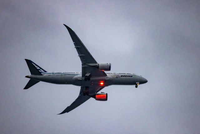 Boeing 787-8 (N7874) - Testing the limits of handholding a telephoto at twilight.