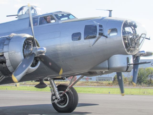 Boeing B-17 Flying Fortress (N5017N)