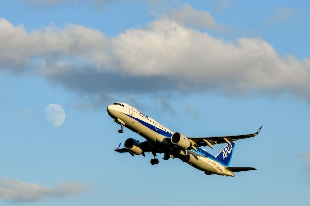 Airbus A321 (JA146A) - 2022.11.5br /NH777 ITM→CTS