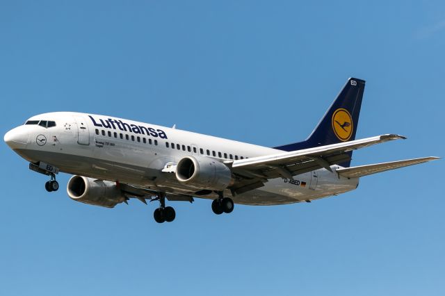 BOEING 737-300 (D-ABED)