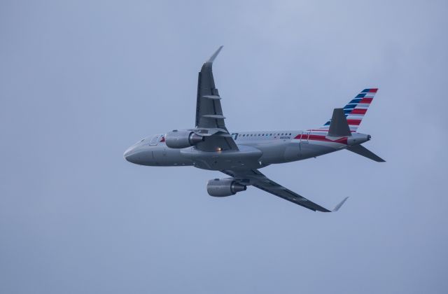 Airbus A319 (N8001N) - American's new Airbus A319 stopping in Bangor for fuel and customs before heading to Dallas.