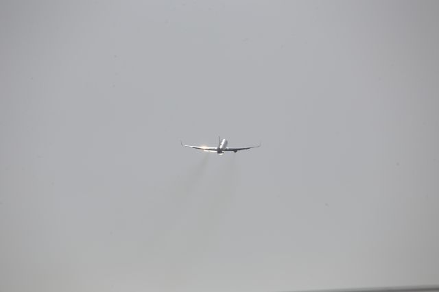 BOEING 767-300 (N176DZ)
