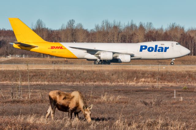 BOEING 747-8 (N853GT) - Local spotter welcoming Polar Cargo