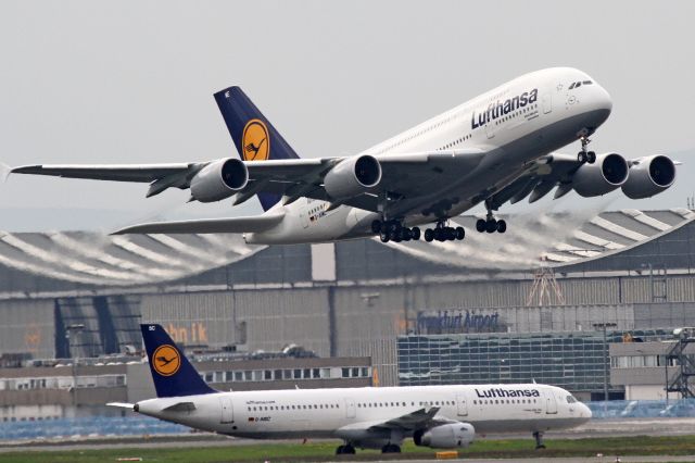 Airbus A380-800 (D-AIME) - grey sky