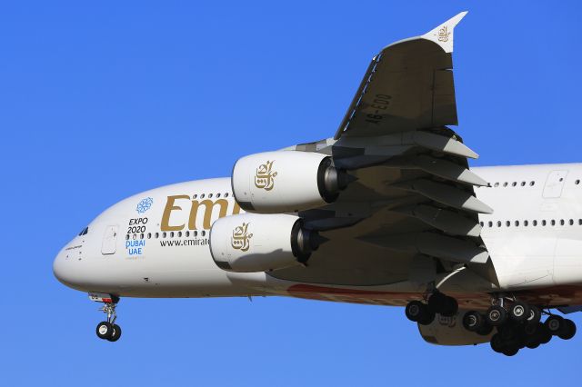 Airbus A380-800 (A6-EDQ)