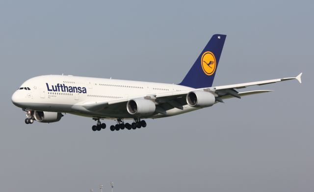 Airbus A380-800 (D-AIMG)