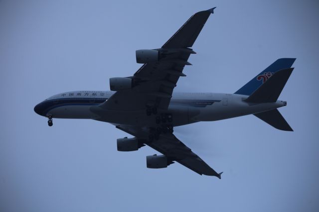 Airbus A380-800 (B-6137)