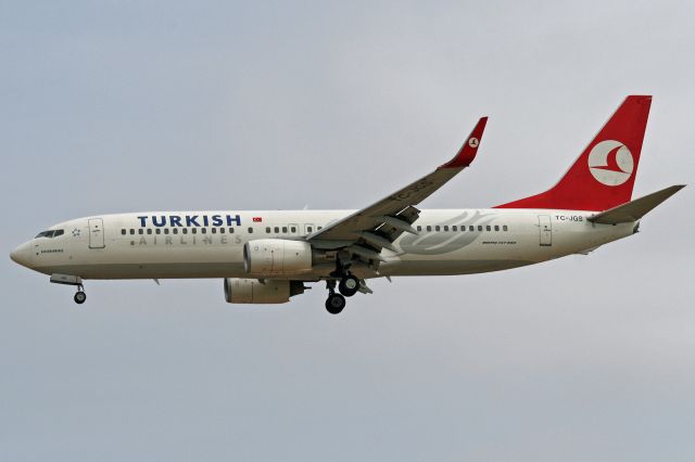 Boeing 737-800 (TC-JGS)