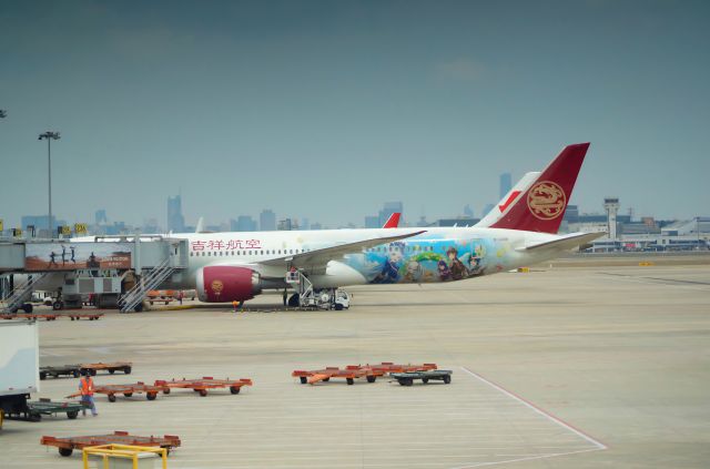 Boeing 787-9 Dreamliner (B-209R)