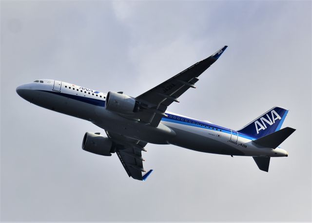 Airbus A320 (JA211A)