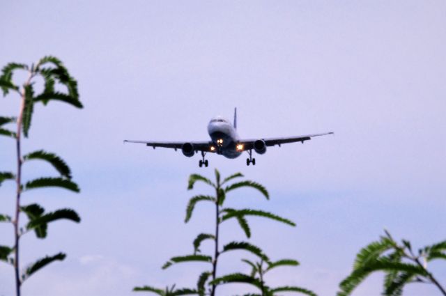 Airbus A320 (N505JB)