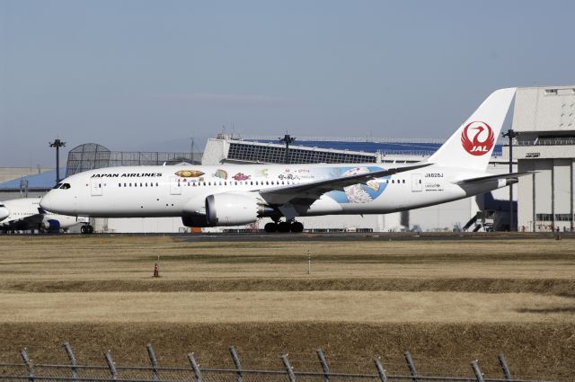 Boeing 787-8 (JA828J) - Departure at Narita Intl Airport Rwy34L on 2012/12/11 "Special Ziburi c/s"