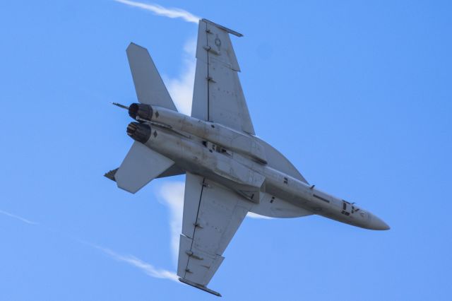 McDonnell Douglas FA-18 Hornet —