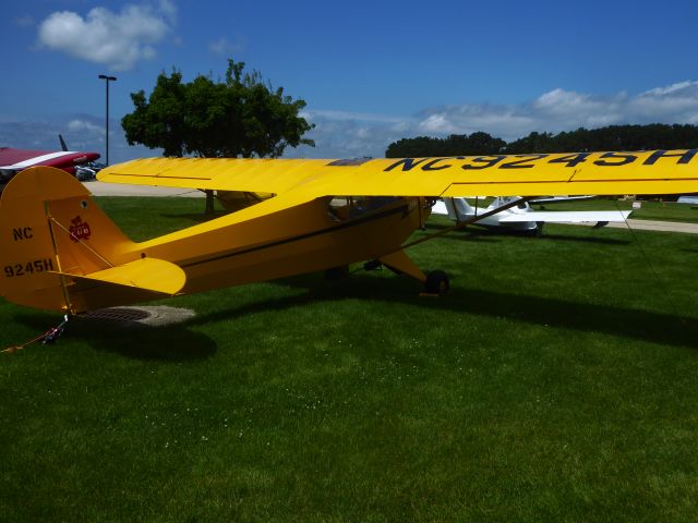 Piper L-21 Super Cub (N9245H)