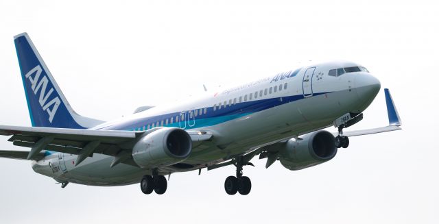 Boeing 737-800 (JA78AN)