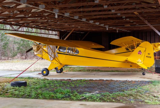 Piper L-21 Super Cub (N41026)