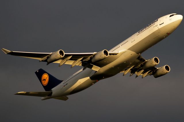 Airbus A340-300 (D-AIGH) - the one and only spot sunlight after thunderstorm, Frankfurt