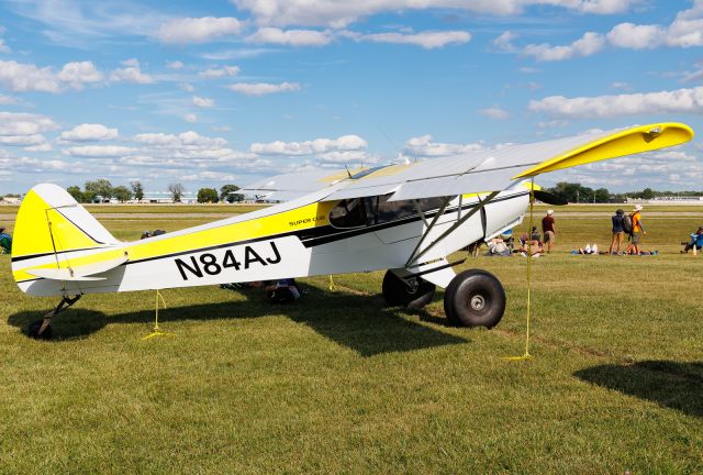 Piper L-21 Super Cub (N84AJ)