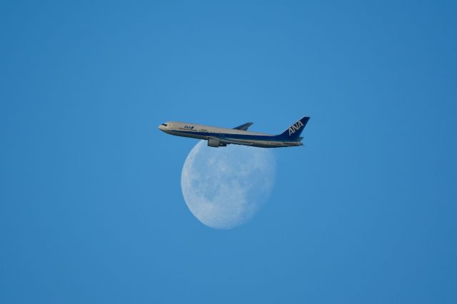 Airbus A321 (JA609A)