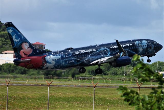 Boeing 737-800 (C-GWSZ)